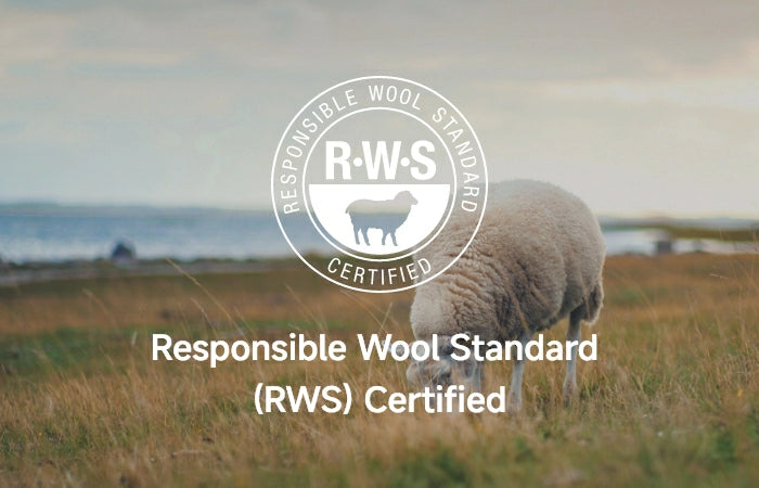 Quality and Certification