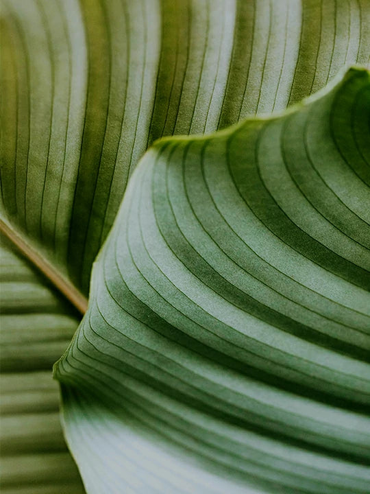 Sustainability